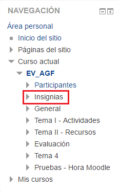 Archivo:Consultar Insignias.png