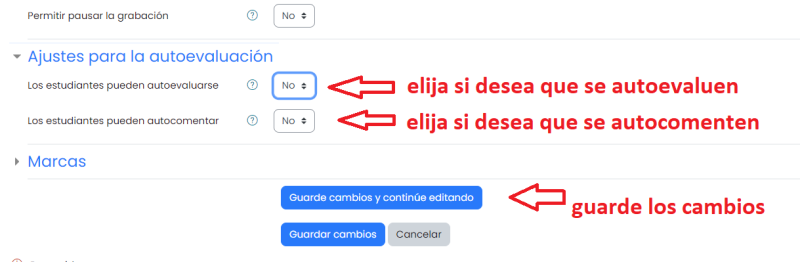 Archivo:Autoevalucaion pregunta audiovideo y guardar.png
